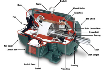 DC- MOTORS